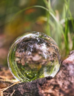 with the glass ball in the Thuringian Forest