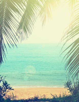 tropical background with sea beach and palm trees in the vintage style